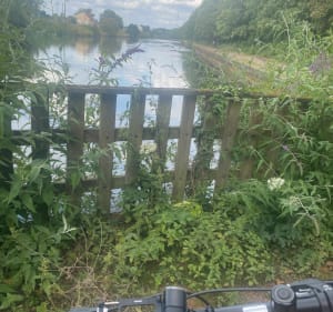 Du coté du Canal de Lens depuis Harnes - Harnes - 5
