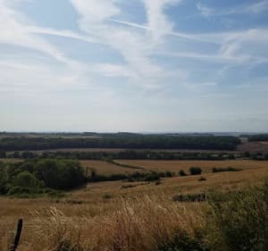 Belle balade au départ de Manoncourt en Vermois - Manoncourt-en-Vermois - 4