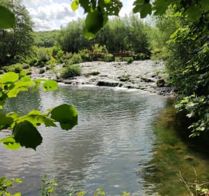 Balade autour de Trémont-sur-Saulx - Trémont-sur-Saulx - 3