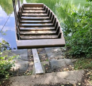 Moutonneau au bord de l'eau - Moutonneau - 3