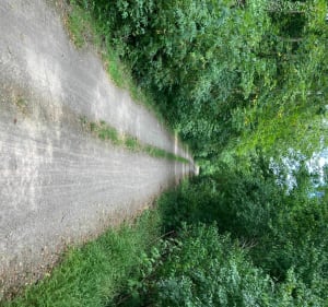 Piste des Forts à Strasbourg - Strasbourg - 4