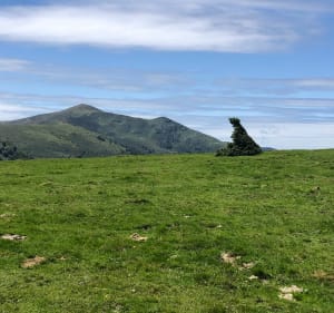 Belle rando vers le Prat d’Albis et le Bout de Touron - Prayols - 5