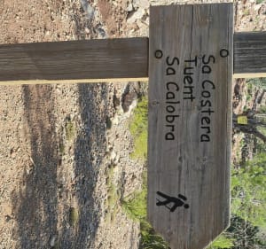Mirador Ses Barques vers Cala Tuent avec des belles vues - Fornalutx - 4