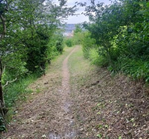 Boucle entre Bonsecours et Amfreville - Bonsecours - 4
