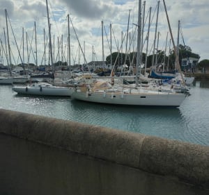 Balade au Nord de l'Île d'Oléron - Saint-Georges-d'Oléron - 4