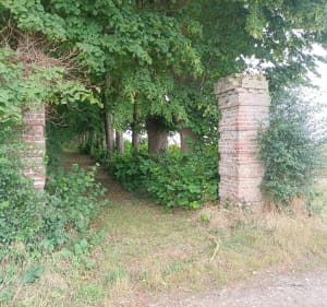 Autour de Citernes entre champs, moulin, bois et chateau - Citernes - 4