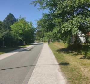 Boucle depuis Quend vers le sentier des Crocs - Quend - 5