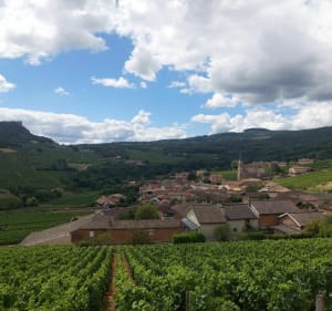 Roche de Solutré à Roche de Vergisson - Solutré-Pouilly - 4