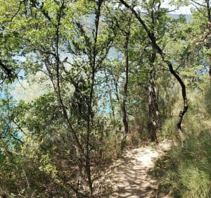 3-daagse tour op het meer van Sainte Croix in bivak - Les Salles-sur-Verdon - 4