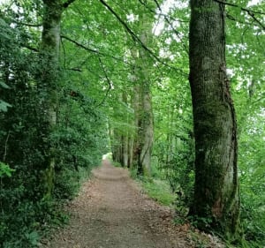 Tour à vélo à bonnac la cote - Bonnac-la-Côte - 3