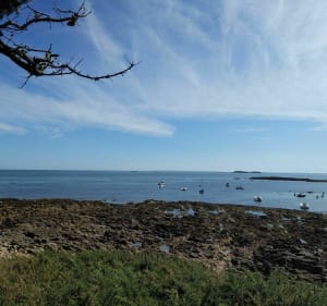 Pointe de Kerpenhir - Locmariaquer - 3