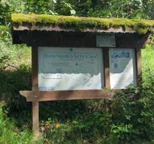 Balade des anciens télésièges du Prallet - Sixt-Fer-à-Cheval - 3