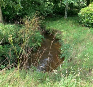 Balade nature à Saint-Jacut-du-Mené - Maryline - 5