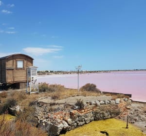 Les incontournables de Gruissan - Gruissan - 3