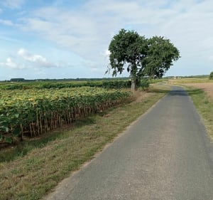 De la Varzay à Meursac - Varzay - 3