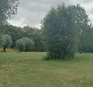 Lille, balade entre lacs, forêts et champs depuis Villeneuve-d'Ascq - Villeneuve-d'Ascq - 4