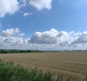 Chemins de la Pévèle en VTT et les pavés de Paris Roubaix - Bachy - 3