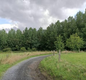 Chemins de la Pévèle en VTT et les pavés de Paris Roubaix - Bachy - 5