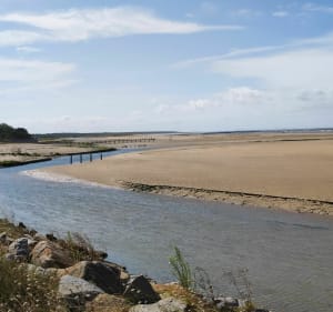 Entre terre et mer à la Faute-sur-Mer - L'Aiguillon-la-Presqu'île - 3