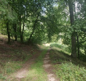 Autour du lac du Saut de Vésoles à VTT - Fraisse-sur-Agout - 3