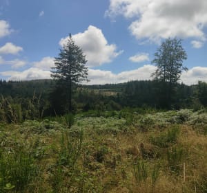 Autour du lac du Saut de Vésoles à VTT - Fraisse-sur-Agout - 5