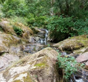 Gorge de Bilhard depuis Monistrol - Monistrol-sur-Loire - 3