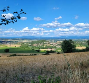Le Puy de Mur, entre forêt et champs - Vertaizon - 4