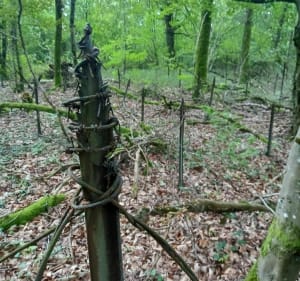 Entre Gravelotte et Jussy - Rozérieulles - 4