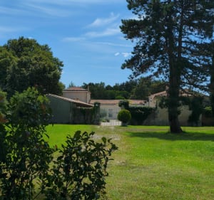 Circuit bleu bois du Taillan-Médoc - Le Taillan-Médoc - 4