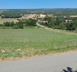 Chemin des lavandes - Sault - 4