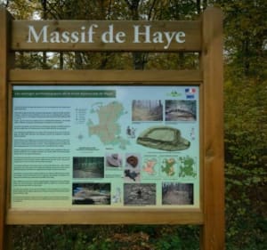 Balade en forêt de Haye et par la Mine du Val de Fer - Méréville - 4