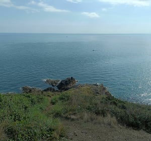Pointe de Minard - Plouézec - 5