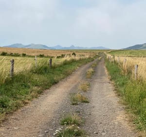 Balade au-dessus de Vic-sur-Cère - Vic-sur-Cère - 3