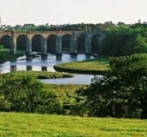 Balade rivière du Loch et du Bono - Brech - 4