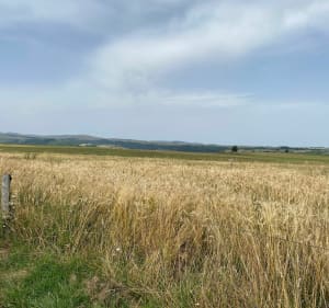 Balade au-dessus de Vic-sur-Cère - Vic-sur-Cère - 4