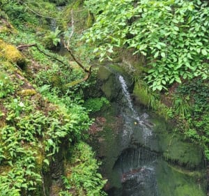 Cascade de l’Erzenbach - Steinbach - 5