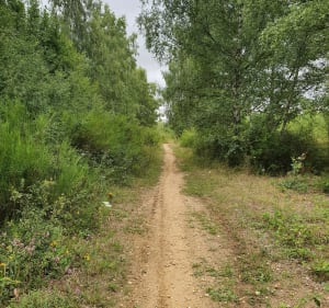 Boucle de la Seine, et forêt de Moisson - Mousseaux-sur-Seine - 5