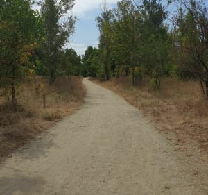 Parc du Confluent et par Portet-sur-Garonne - Élodie - 5