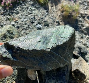 La Croix de Curlet en rando d’été au cœur des mélèzes - Saint-Véran - 3