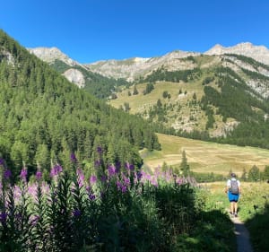 La Croix de Curlet en rando d’été au cœur des mélèzes - Saint-Véran - 4
