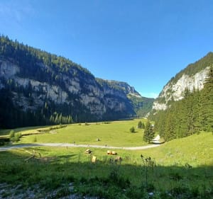 Tour du lac de Flaine - Magland - 4