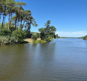 Randonnée autour du Lac d’Aureilhan - Aureilhan - 4