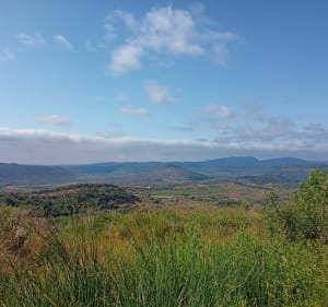 Clermont l'Hérault, tour du Rocher des Vierges - Ceyras - 3