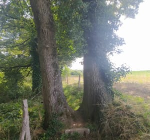 Boucle commune de la Remaudière - La Remaudière - 5