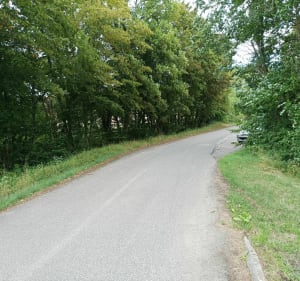 Balade dans les bois de Haye entre Champigneulles et Frouard - Champigneulles - 3