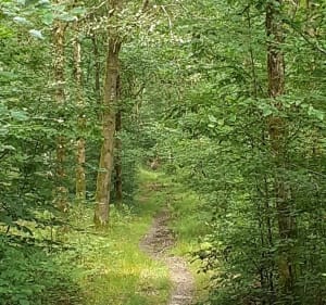 Contes et légendes de Mormal - Landrecies - 5
