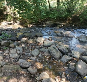 Ontdekkingswandeling van de Salins-waterval - Salins - 3