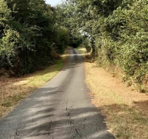 Descentes et montées de Montagut à Morlanne A/R - Montagut - 4