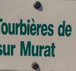 Tourbières de Chastel-sur-Murat - Murat - 3