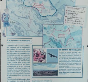 Tourbières de Chastel-sur-Murat - Murat - 4